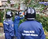 Настоящий ураган проверял на прочность конструкции и зеленые насаждения.