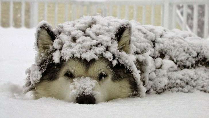 Какая погода будет в Орле 10 февраля