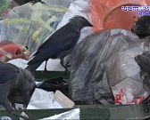 Дарвина дом 6