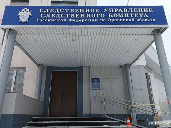 В Орловской области завершили расследование дела в отношении 4 осуждённых, пропагандирующих движение «АУЕ»