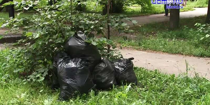 Все в бурьяне и лопухах: орловские скверы остаются в запустении из-за нехватки денег