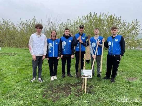 В Ливнах высадили деревья в честь Героев СВО