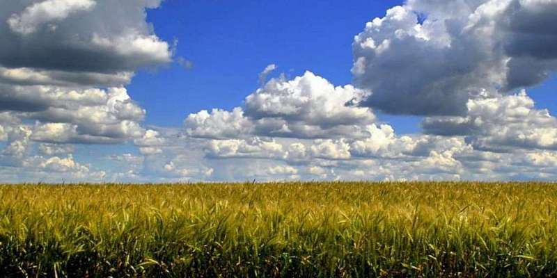 Сегодня в Орле будет тепло, но облачно