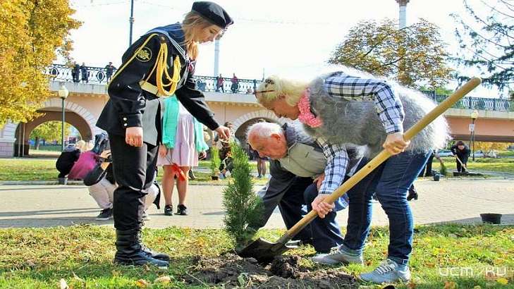 В последний день бабьего лета в сквере Семьи в Орле посадили туи