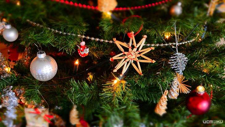 «Ковидный» Новый год: губернатор запретил на Орловщине все праздничные мероприятия