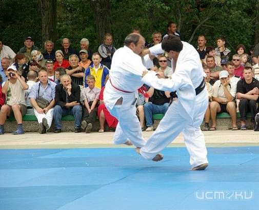 Чемпионат и первенстве области по дзюдо