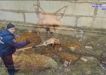 Советник орловского губернатора Сергей Лежнев останется в СИЗО до 24 декабря