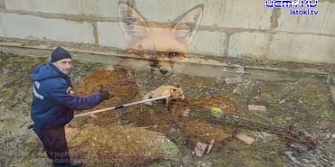 Советник орловского губернатора Сергей Лежнев останется в СИЗО до 24 декабря