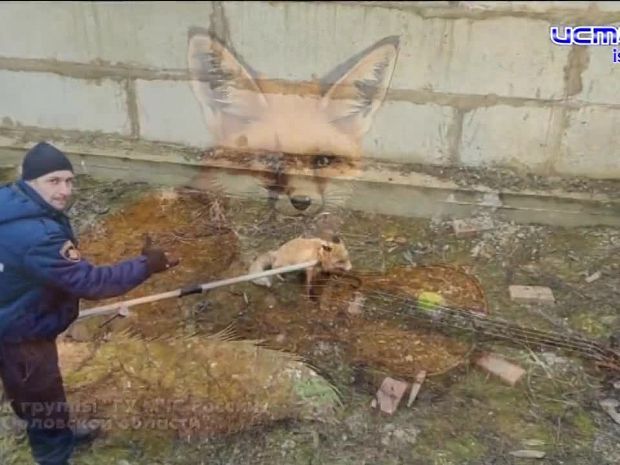 Советник орловского губернатора Сергей Лежнев останется в СИЗО до 24 декабря