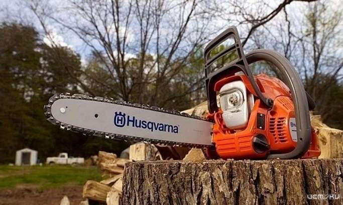 3 совета, которые помогут выбрать бензопилу