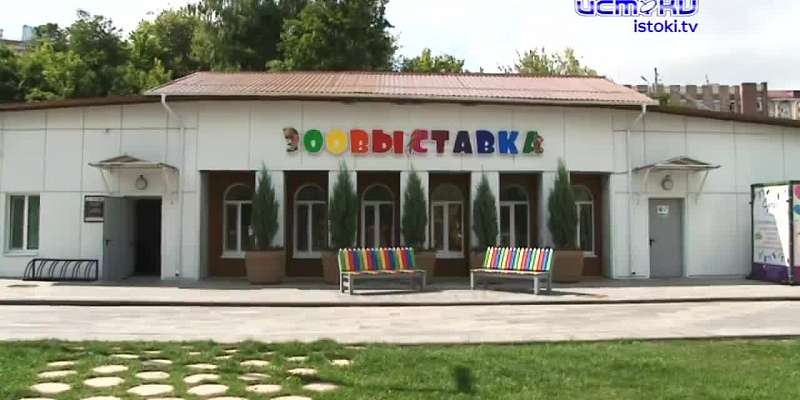 Попали в книгу рекордов Гиннесса благодаря размерам. Зоовыставка в Детском парке показала новых питомцев - двух карликовых обезьян-игрунок. Придумать ...