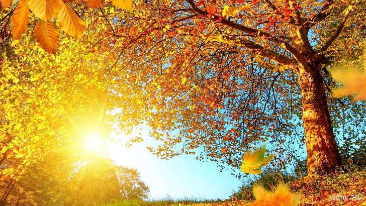 Октябрь, ты ли это? Сегодня в Орле снова будет до +20 °C 