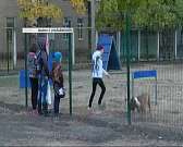 В Орле запретили выгуливать собак возле школ, а экс-директор "Орелтеплоэнерго" задержан. Новости за 90 секунд