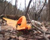 Экологическая акция "Мусору нет" добирается до Медведевского леса