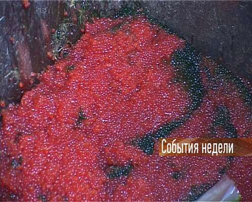 События недели