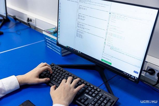 Курсы программирования и их перспективы