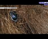 В 2020 году нас ждет около сотни киноновинок — увидеть их можно в «Победе» и «Современнике»