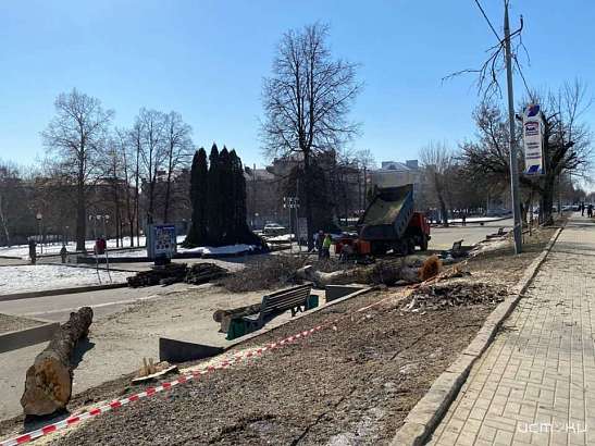 Глазами очевидцев: в Орле у городского парка опиливают деревья