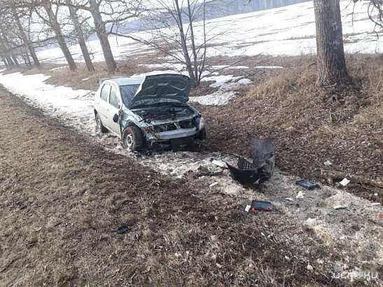 На Орловщине «Рено» улетел с трассы в кювет и врезался в дерево