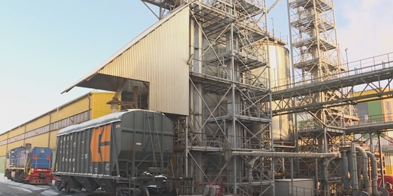 Как семена рапса превращаются в жидкое золото?