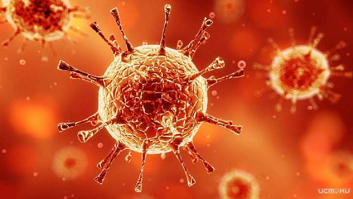 Почти 20 % зараженных COVID-19 на Орловщине слегли с пневмонией