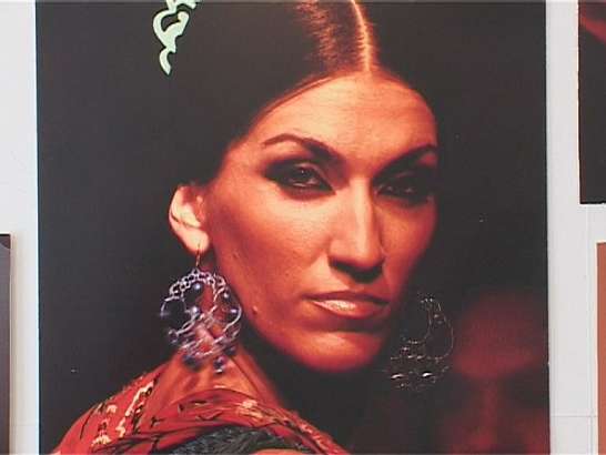 Выставка Хосе Романова