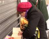 Читающая остановка