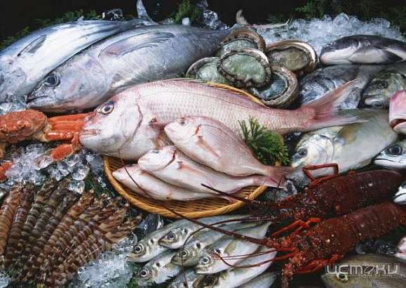 В Орловской области Роспотребнадзор снял с продажи более 200 кг рыбы