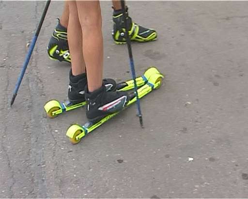 Лыжероллерная гонка