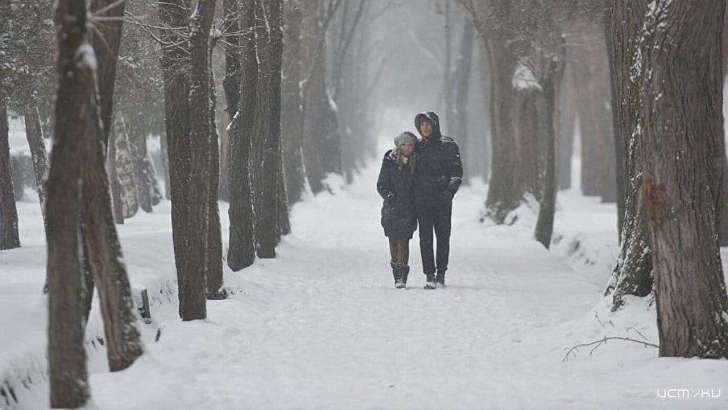 День всех влюблённых в Орле будет морозным