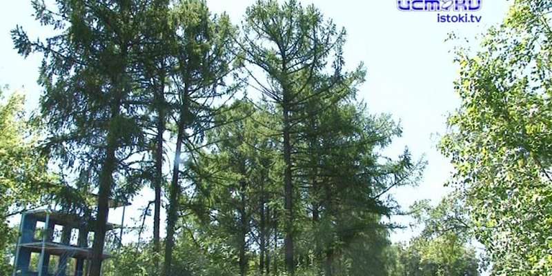 Будущее парка Победы: почему орловчане забраковали концепцию благоустройства