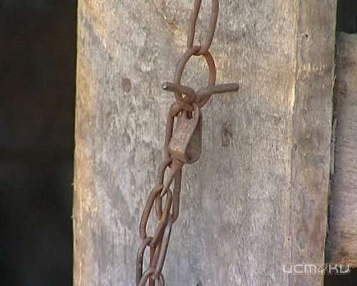 В Урицком районе родители держали детей на цепи из-за халатности бывшего начальника уголовно-исполнительный инспекции