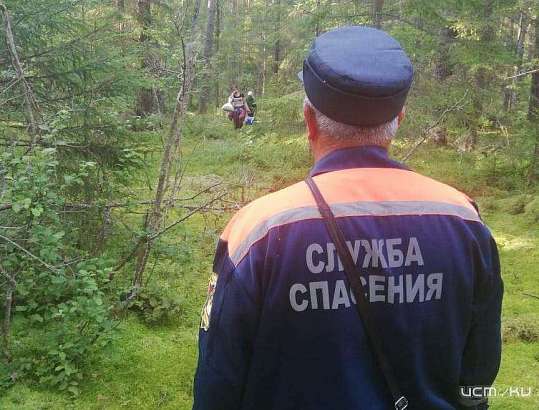 Две орловчанки заблудились в лесу в поисках грибов