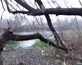 Видео: в районе орловской ТЭЦ текут голубые воды