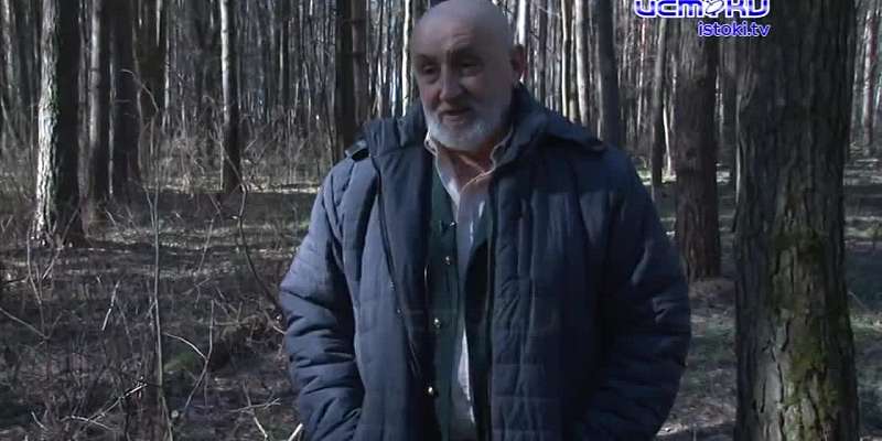 Он не представляет ценности, но из-за него можно лишиться свободы: как правильно собирать валежник