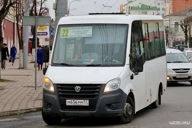 В Лужки пустили дополнительные маршрутки