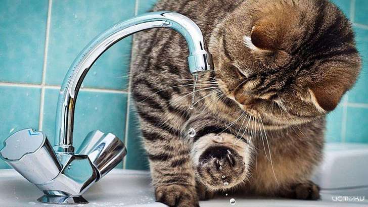 На четыре дня раньше срока орловчанам возвращают горячую воду