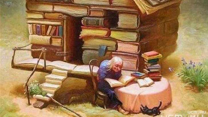 Орловчан приглашают посетить «Книжный домик»