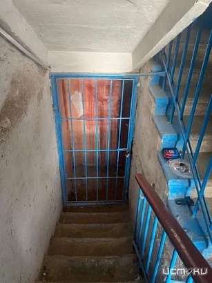 На Орловщине из более чем 700 проверенных подвалов по 300 есть замечания