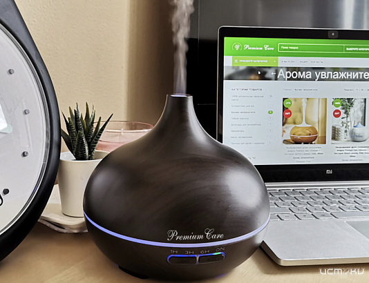 Зачем нужен увлажнитель воздуха?