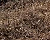 Надои увеличиваются, поголовье растет! В ЗАО "Славянское" к животным особый подход.