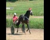 В Орле заработал отреставрированный фонтан, губернатор и глава администрации города взялись за лопаты и метлы, и в нашем городе может появиться "Леруа...