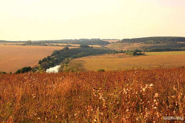 Орловщина оказалась на 64 строчке экологического рейтинга