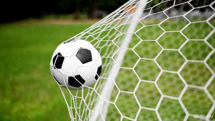 Стоимость строительства футбольного манежа в Орле взлетела почти до 510 млн