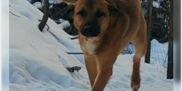 Найден новый победитель конкурса "Народный корреспондент"