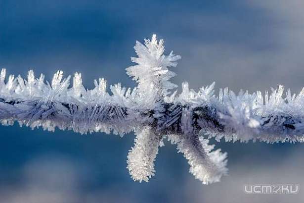 Сегодня в Орле будет морозно 
