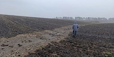 рыба Управление Россельхознадзора по Орловской и Курской областям В пруду под Орлом из-за навоза произошла массовая гибель рыбы