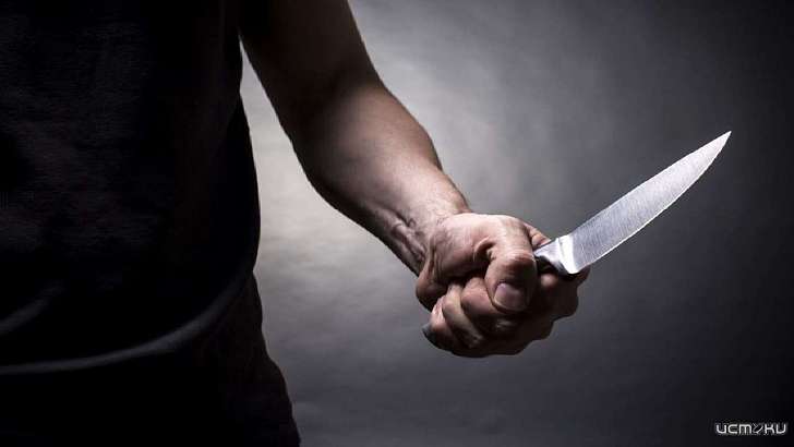 Едва не зарезав беременную жену, психически больной Отелло из Кром сядет на 12,5 лет