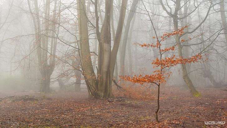 На Орел надвигается мощный антициклон