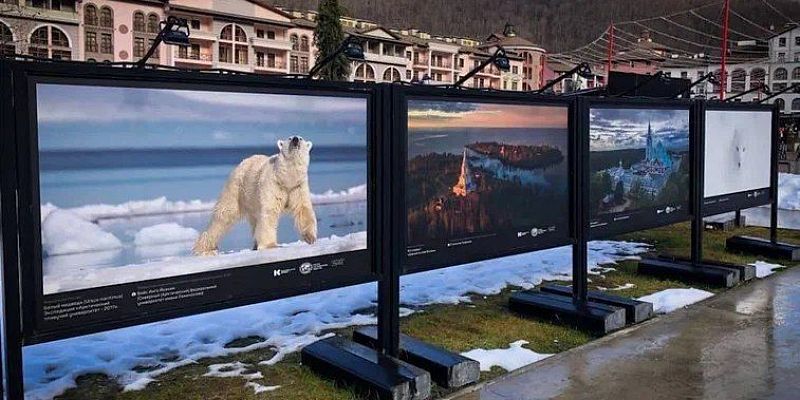 искусство фотовыставка выставка Орловчанин представил свои фотоработы на курорте Красная Поляна